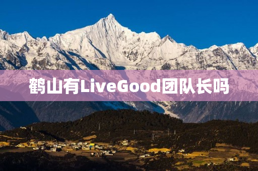 鹤山有LiveGood团队长吗