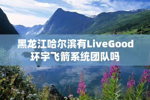 黑龙江哈尔滨有LiveGood环宇飞箭系统团队吗