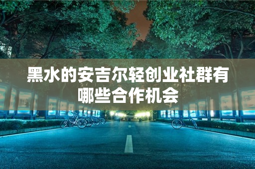 黑水的安吉尔轻创业社群有哪些合作机会