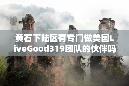 黄石下陆区有专门做美国LiveGood319团队的伙伴吗