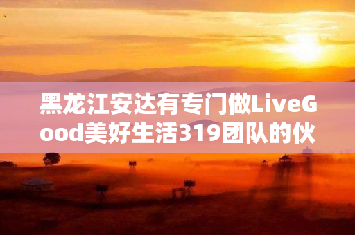 黑龙江安达有专门做LiveGood美好生活319团队的伙伴吗