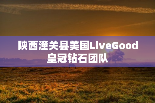 陕西潼关县美国LiveGood皇冠钻石团队