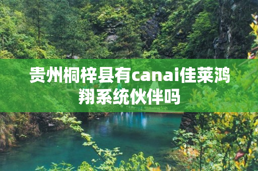 贵州桐梓县有canai佳莱鸿翔系统伙伴吗