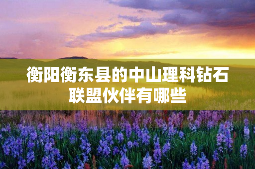 衡阳衡东县的中山理科钻石联盟伙伴有哪些