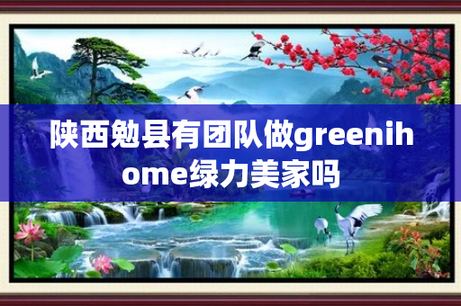 陕西勉县有团队做greenihome绿力美家吗