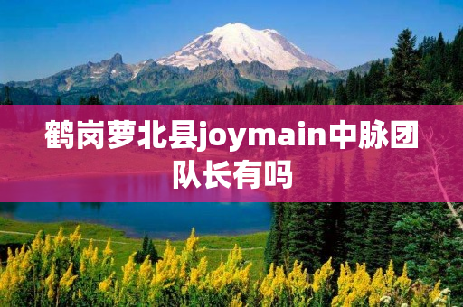 鹤岗萝北县joymain中脉团队长有吗