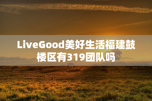 LiveGood美好生活福建鼓楼区有319团队吗