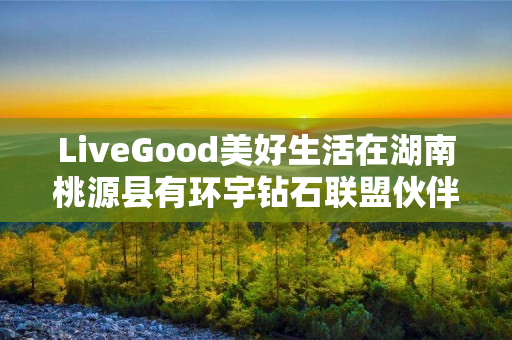 LiveGood美好生活在湖南桃源县有环宇钻石联盟伙伴吗