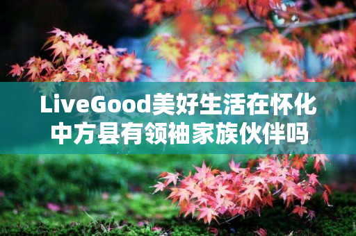 LiveGood美好生活在怀化中方县有领袖家族伙伴吗