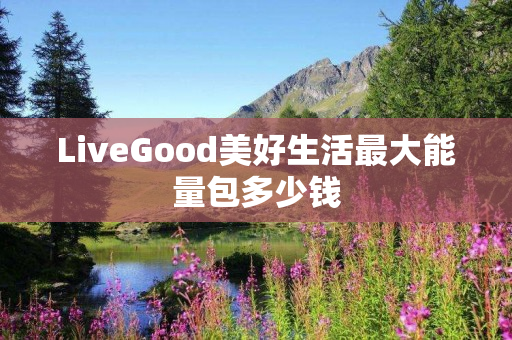 LiveGood美好生活最大能量包多少钱