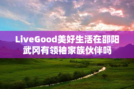 LiveGood美好生活在邵阳武冈有领袖家族伙伴吗