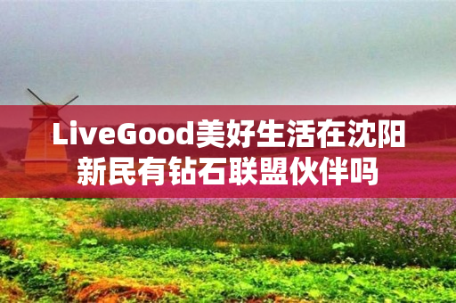 LiveGood美好生活在沈阳新民有钻石联盟伙伴吗