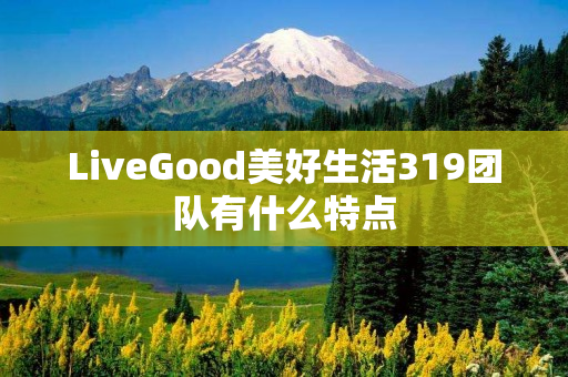 LiveGood美好生活319团队有什么特点