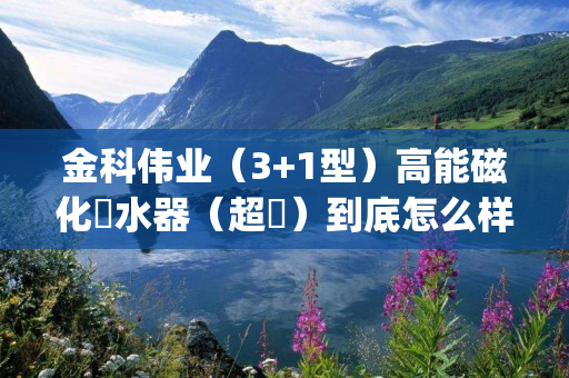 金科伟业（3+1型）高能磁化淨水器（超濾）到底怎么样(金科伟业磁化净水器效果怎么样)