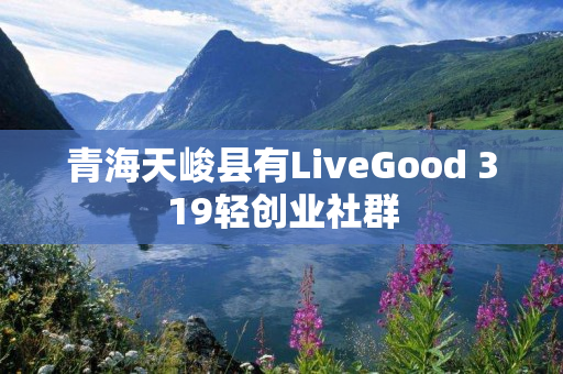 青海天峻县有LiveGood 319轻创业社群