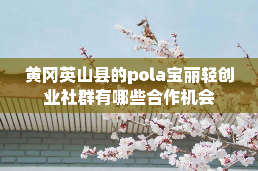 黄冈英山县的pola宝丽轻创业社群有哪些合作机会